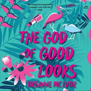 The God of Good Looks by Breanne Mc Ivor