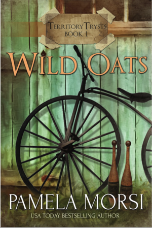 Wild Oats by Pamela Morsi