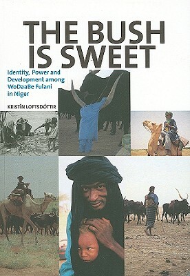 The Bush Is Sweet: Identity, Power and Development Among WoDaaBe Fulani in Niger by Kristin Loftsdottir