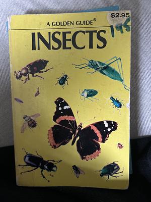 Insects: A Golden Photo Guide from St. Martin's Press by Theresa Greenaway