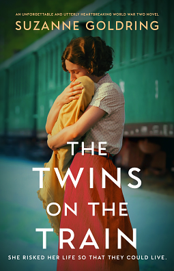 The Twins On The Train by Suzanne Goldring