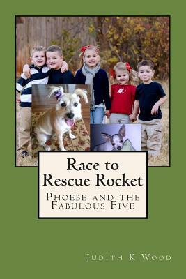 Race to Rescue Rocket by Judith K. Wood