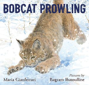 Bobcat Prowling by Bagram Ibatoulline, Maria Gianferrari