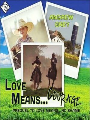 Love Means Courage by Andrew Grey, Ray Romano