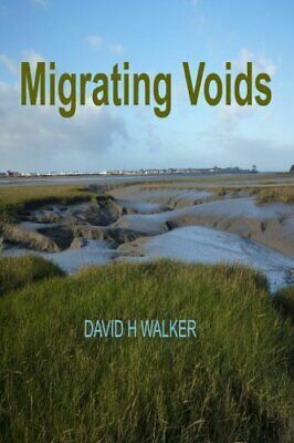 Migrating Voids by David H. Walker