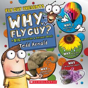 Why, Fly Guy?: Answers to Kids' Big Questions (Fly Guy Presents) by Tedd Arnold