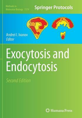 Exocytosis and Endocytosis by 