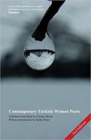 Contemporary Turkish Women Poets by George Messo