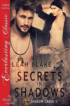 Secrets In Shadows by Leah Blake, Leah Blake