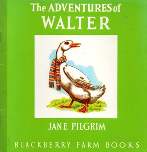 The Adventures of Walter by Jane Pilgrim