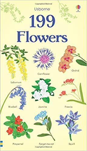 199 Flowers by Hannah Watson