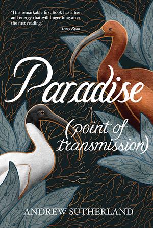 Paradise (point of transmission) by Andrew Sutherland