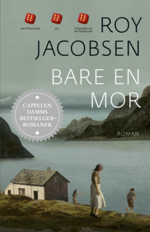 Bare en mor by Roy Jacobsen