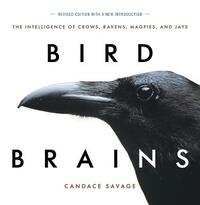 Bird Brains: The Intelligence of Crows, Ravens, Magpies, and Jays by Candace Savage