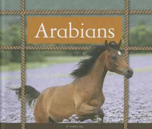 Arabians by Pamela Dell