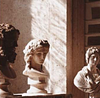 calliopemusesbooks03's profile picture