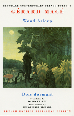 Wood Asleep: Bois Dormant by Gérard Macé