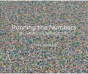 Running the Numbers: An American Self-Portrait by Chris Jordan