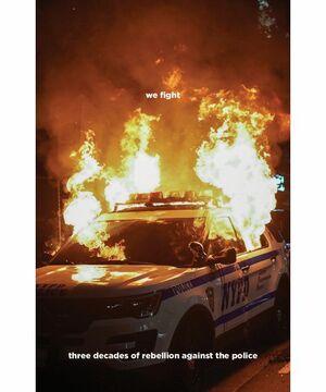 We Fight: Three Decades of Rebellion Against the Police by Detritus Books