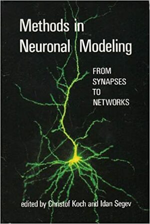 Methods in Neuronal Modeling: From Synapses to Networks by Idan Segev, Christof Koch