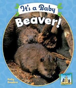 It's a Baby Beaver! by Kelly Doudna