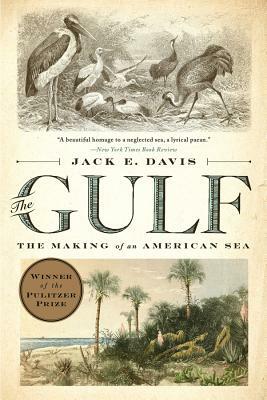 The Gulf: The Making of an American Sea by Jack E. Davis