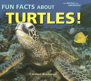 Fun Facts about Turtles! by Carmen Bredeson