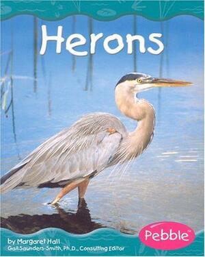 Herons by Margaret Hall