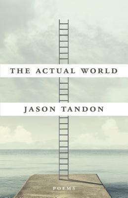 The Actual World by Jason Tandon