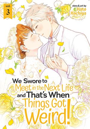 We Swore to Meet in the Next Life and That's When Things Got Weird! Vol. 3 by Hato Hachiya, ∞谷 鳩