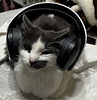 ultrastark's profile picture