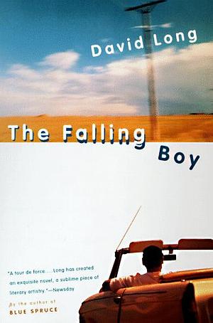 The Falling Boy by David Long