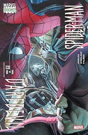 Daredevil/Spider-Man #3 by Paul Jenkins