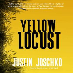 Yellow Locust by Justin Joschko