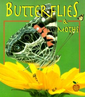 Butterflies and Moths by Bobbie Kalman