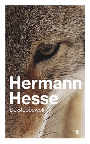 De steppewolf by Hermann Hesse