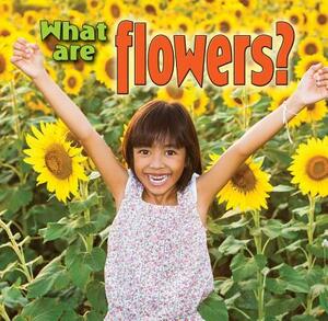 What Are Flowers? by Kelley MacAulay