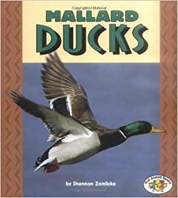 Mallard Ducks by Shannon Zemlicka, Shannon Knudsen