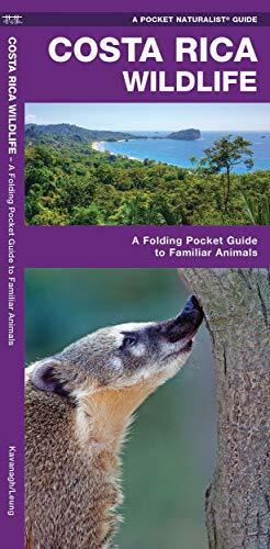 Costa Rica Wildlife: A Folding Pocket Guide to Familiar Species by James Kavanagh