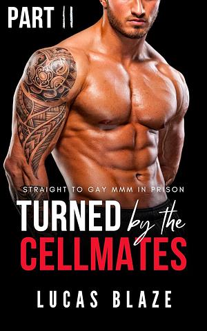 Turned By The Cellmates Part 2: Straight To Gay MMM In Prison by Lucas Blaze
