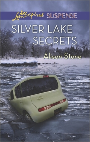 Silver Lake Secrets by Alison Stone