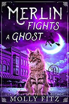 Merlin Fights a Ghost by Molly Fitz