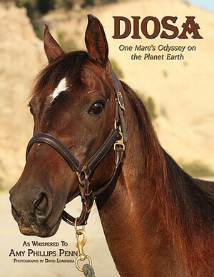 Diosa: One Mare's Odyssey on the Planet Earth by Amy Phillips Penn