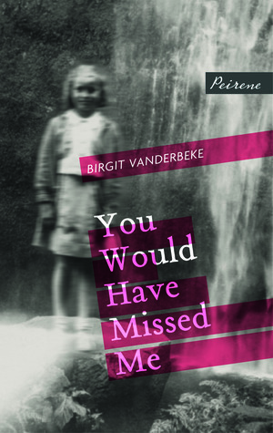 You Would Have Missed Me by Birgit Vanderbeke