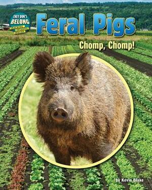 Feral Pigs: Chomp, Chomp! by Kevin Blake
