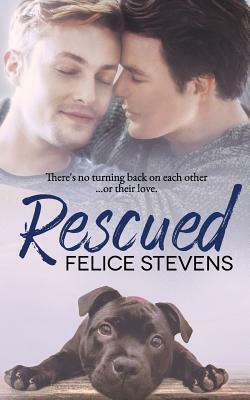 Rescued by Felice Stevens
