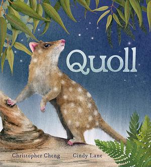 Quoll by Christopher Cheng