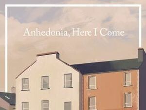 Anhedonia, Here I Come by Colin Barrett