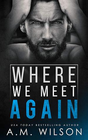 Where We Meet Again by A.M. Wilson