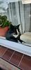 deneniz's profile picture